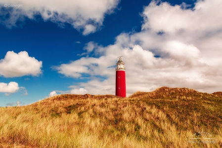 Lightbox Insel Texel Holland