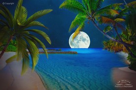 Südseeinseln im Mondschein.jpg