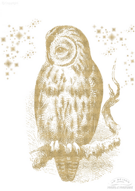 The Owl Gold.png