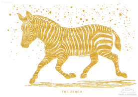 The golden Zebra.png