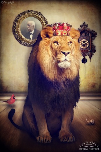 The royal Lion.jpg